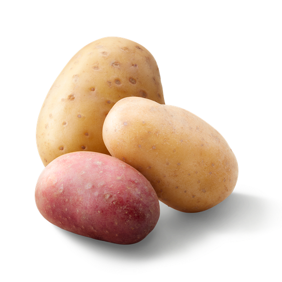 Pomme de terre nouvelle
