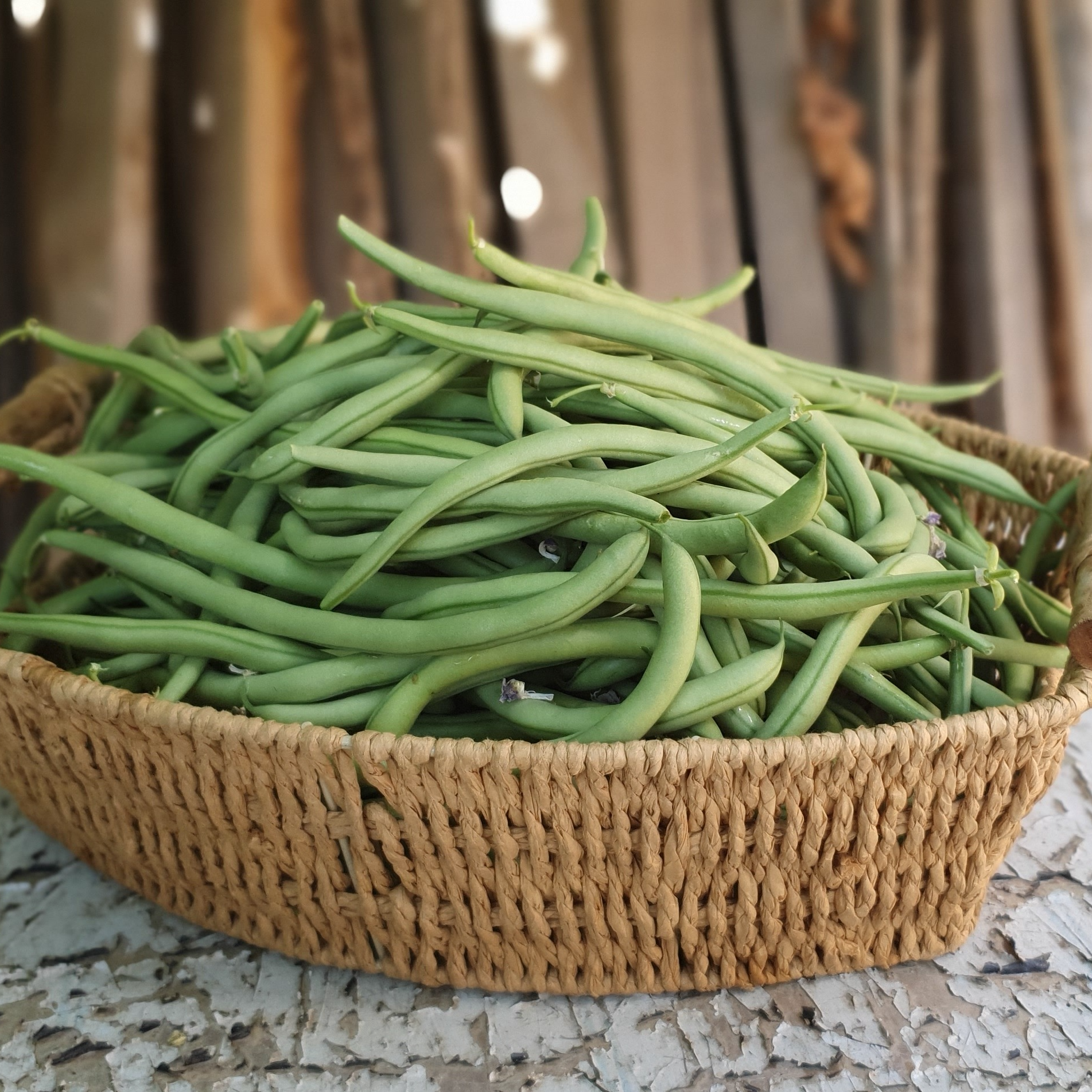 Haricot vert