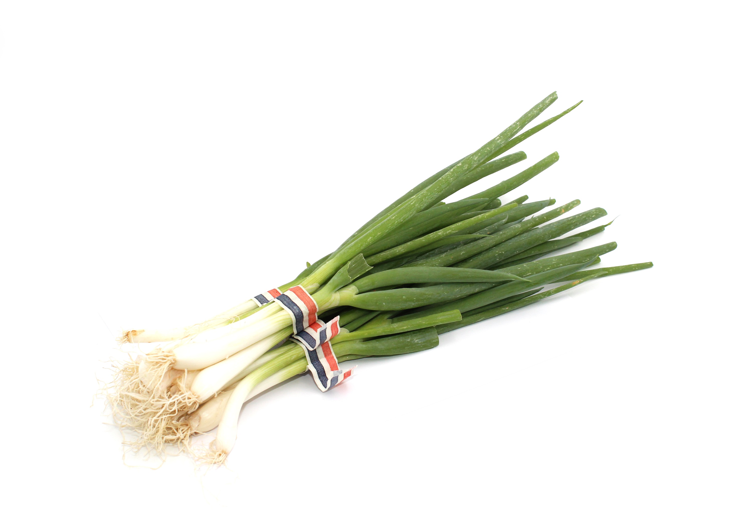 Oignon frais, cébette - La botte