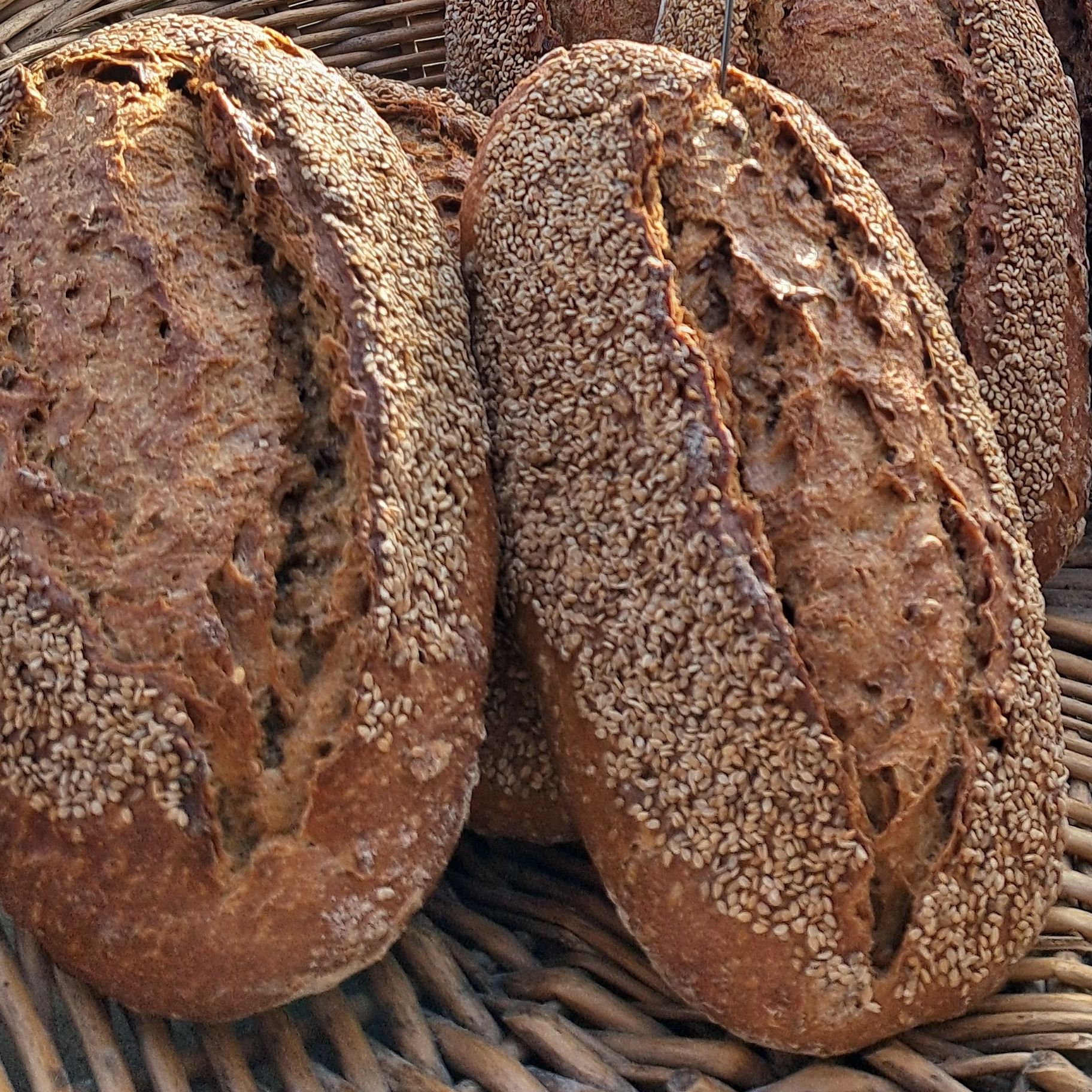 Pain aux Graines