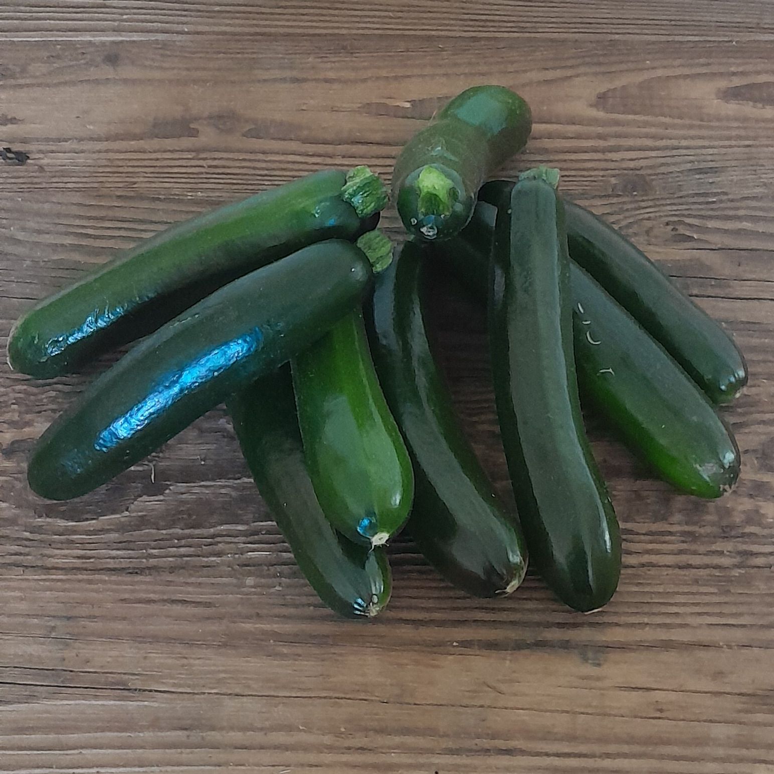 Courgette