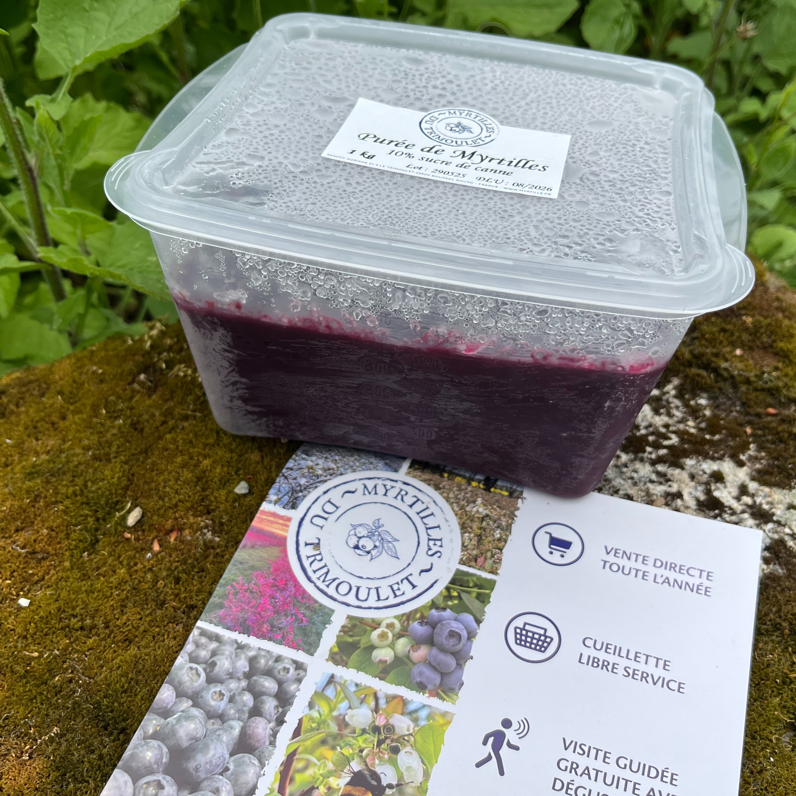 Purée Myrtilles avec 10% de sucre de canne CONGELÉE - 1 Kg - 1kg