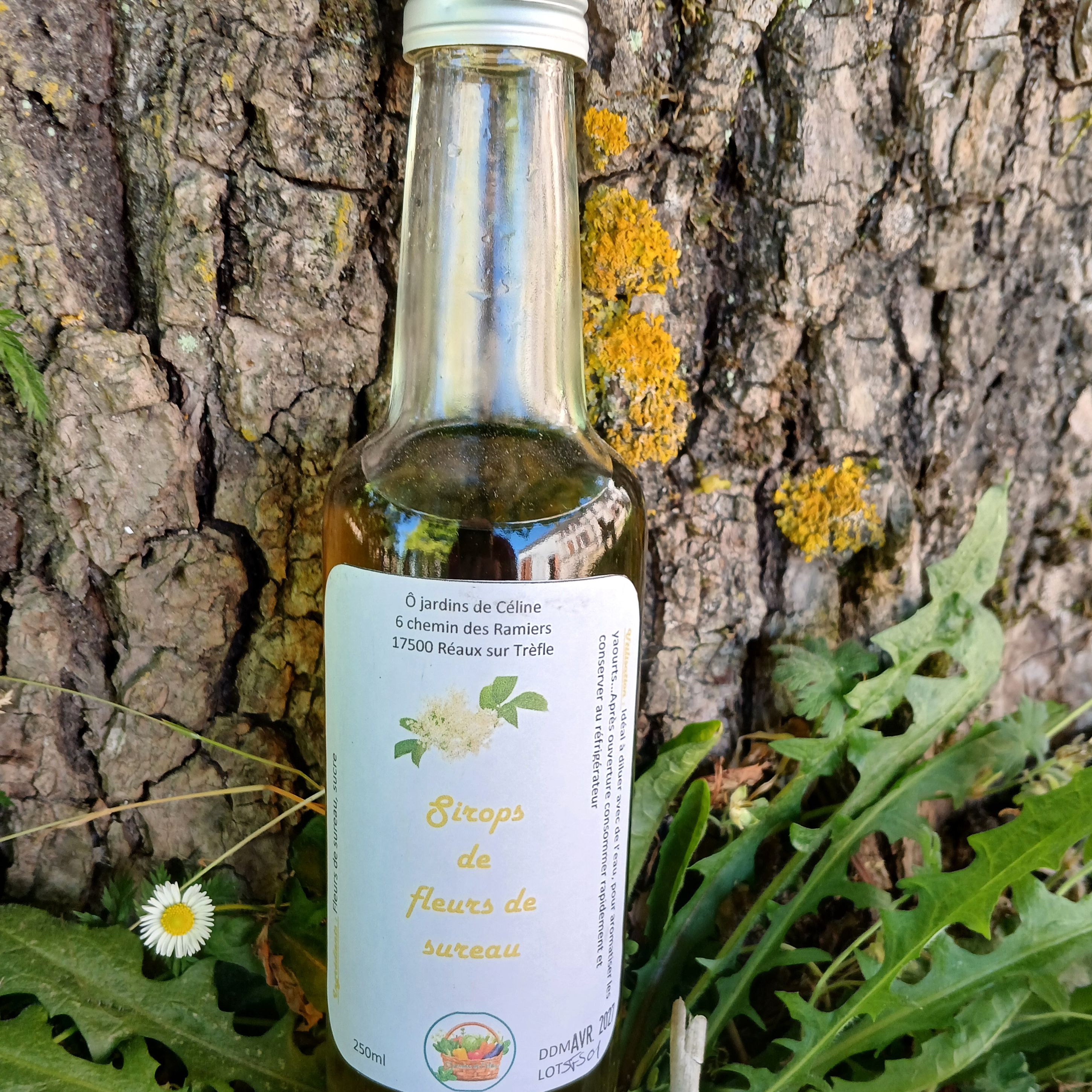 Sirop de fleur de sureau - 200ml