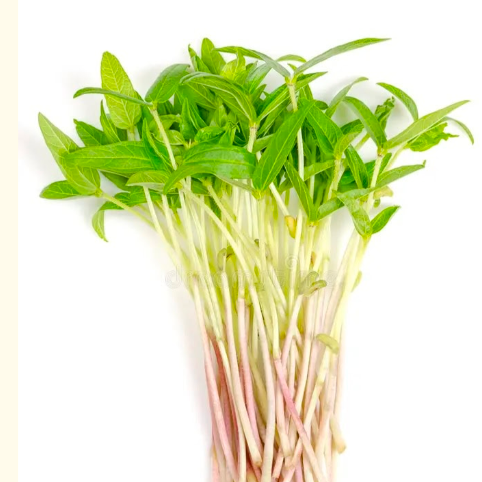 Haricot Mungo baby - 10g