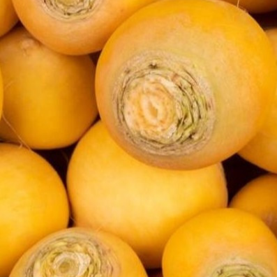 NAVET JAUNE BOULE D'OR - 500g