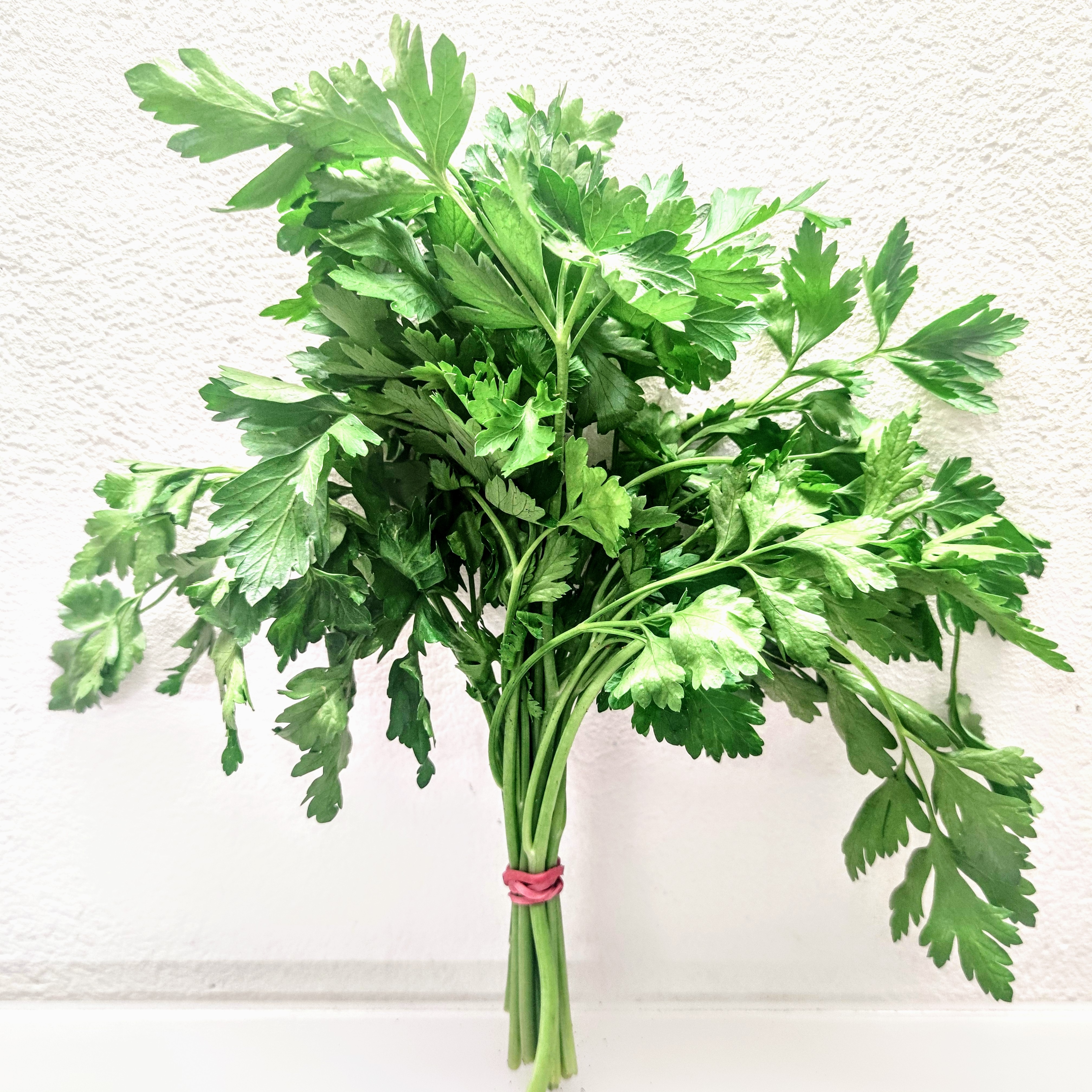 Persil plat - Botte - 100g