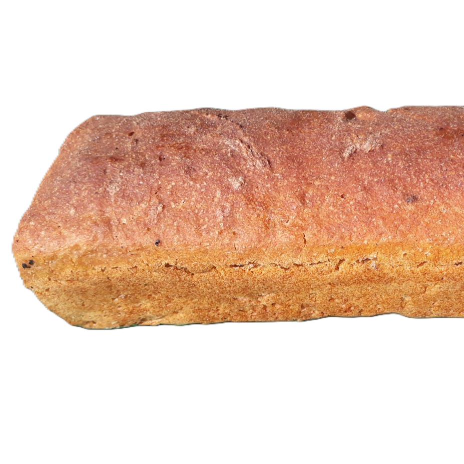Petit-Épeautre (Engrain)