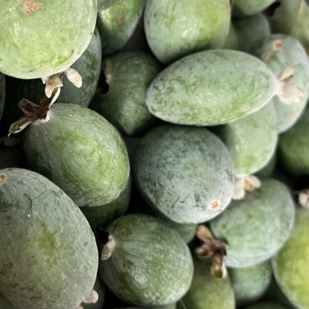 Feijoa - 250g