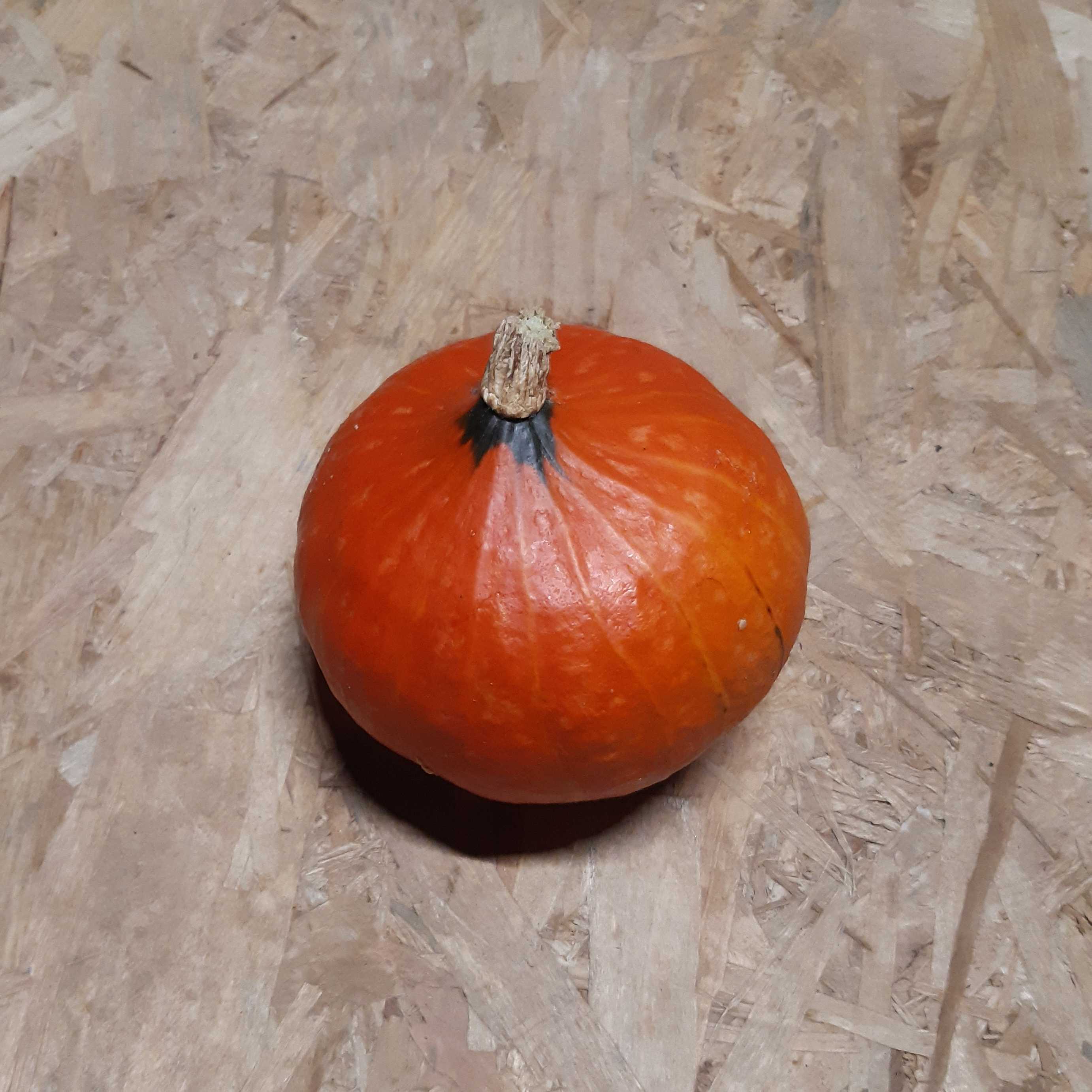 Potimarron (petit) - 600g