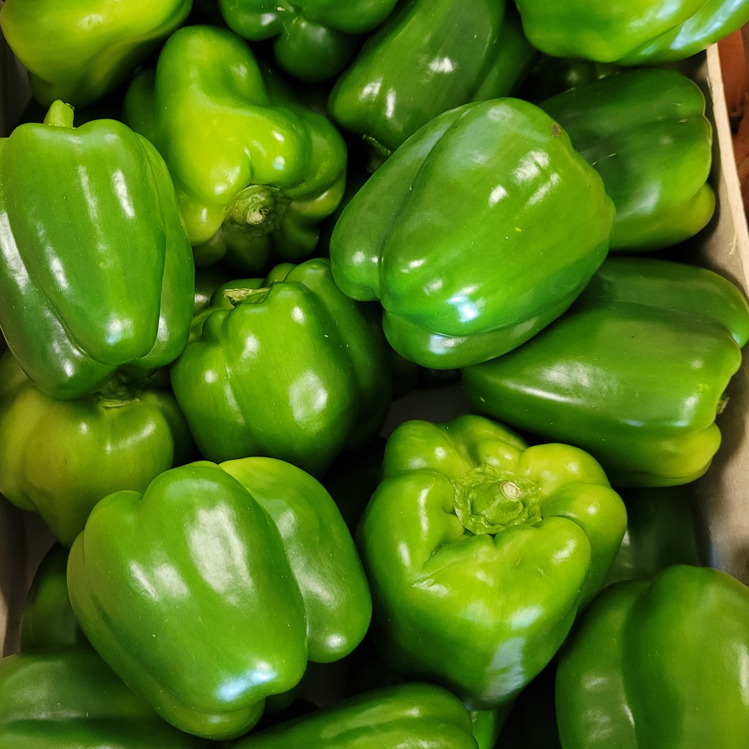Poivrons - 500g