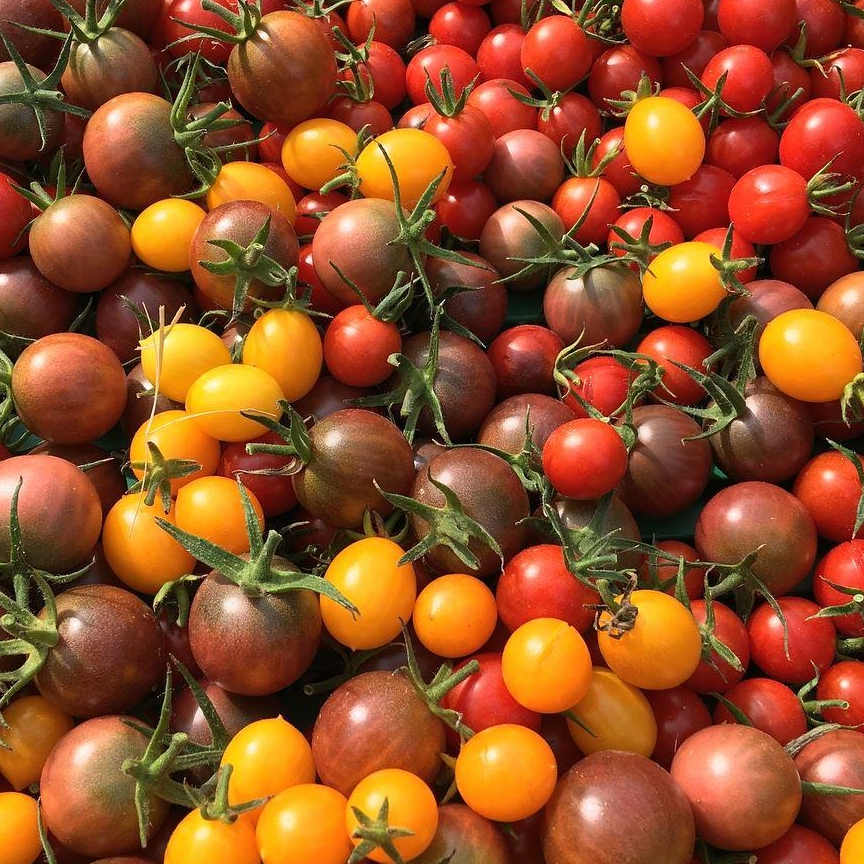 Tomate Cerise 250 gr