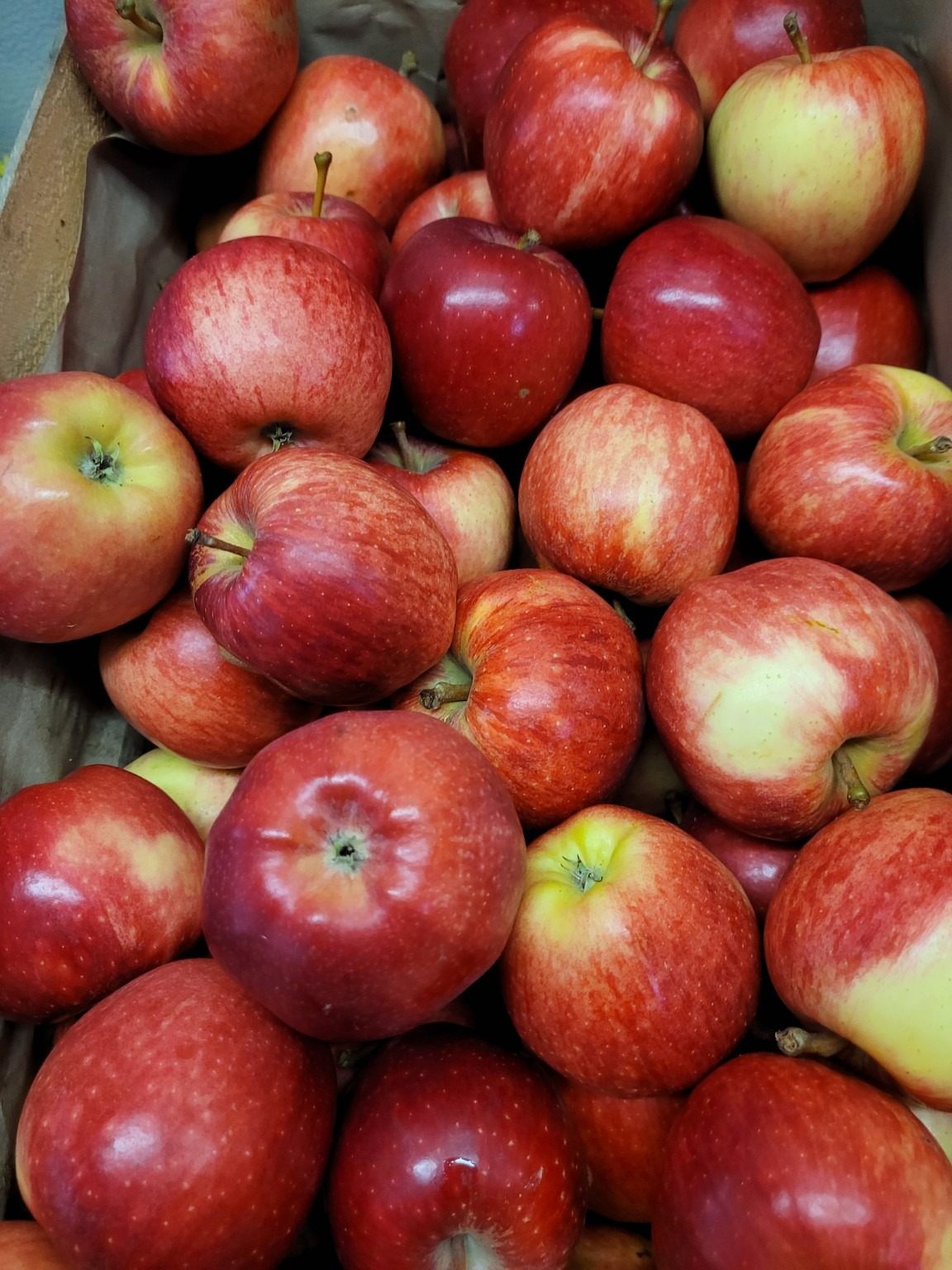 Pomme 0,5 KG