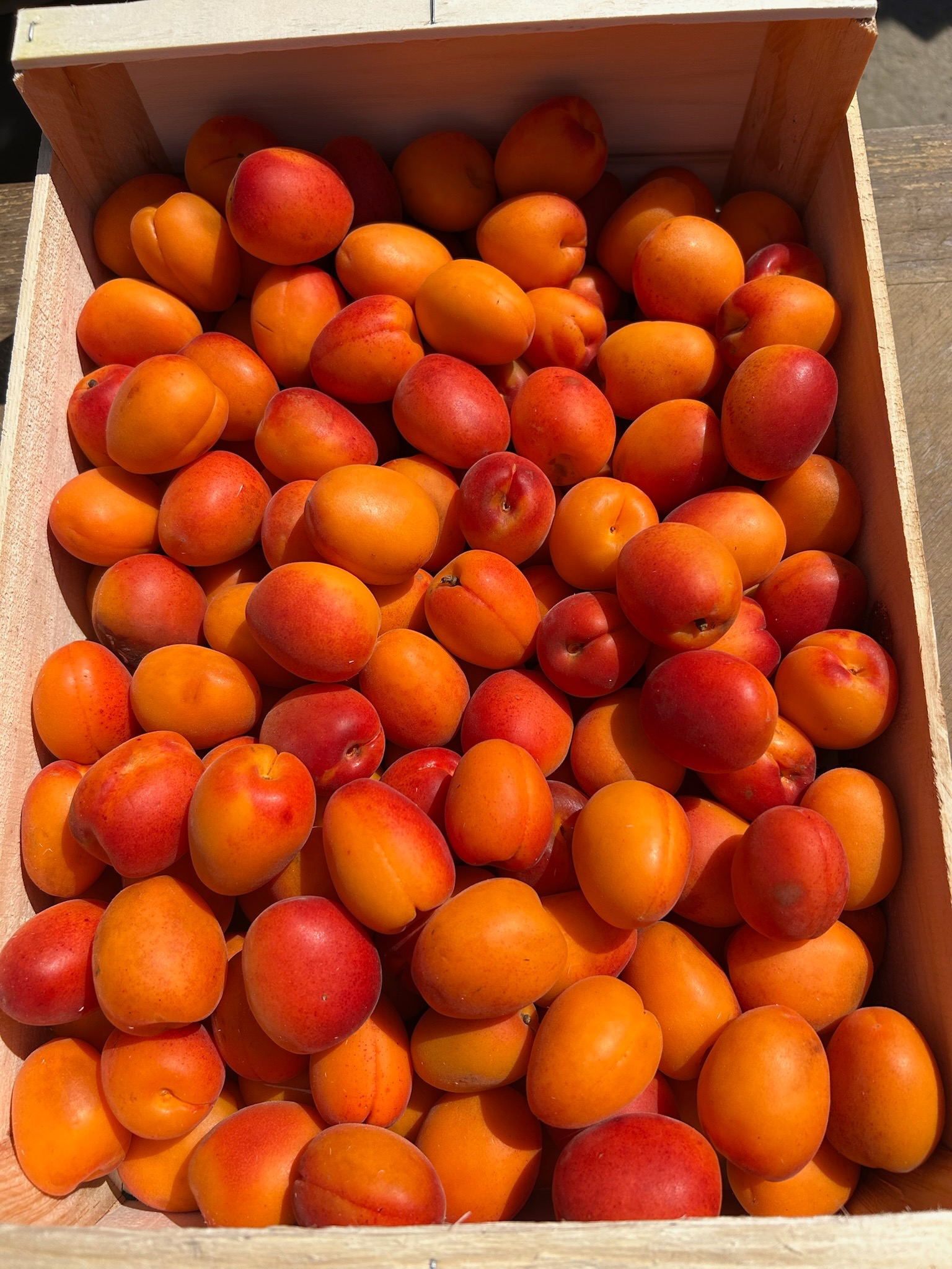 Abricot confiture - 5kg