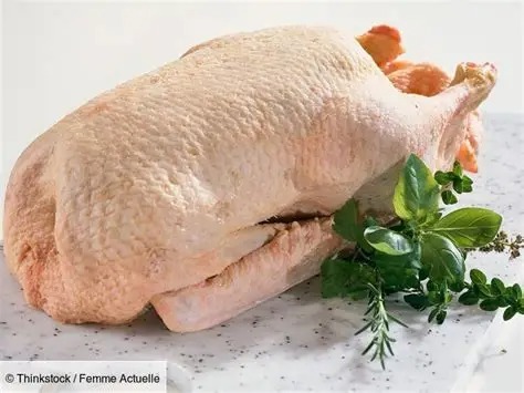 Canard plein - 5kg
