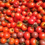 Tomates cerises 330g