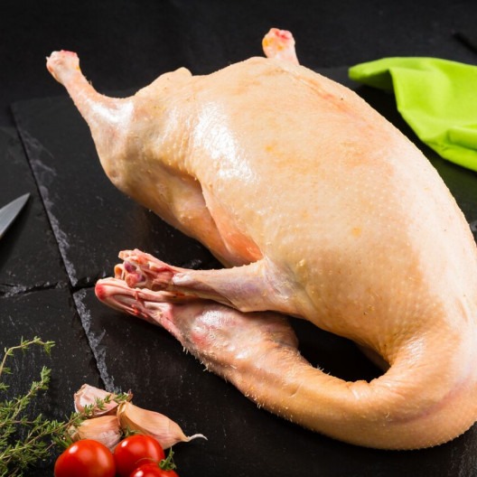Canard plein - 5kg