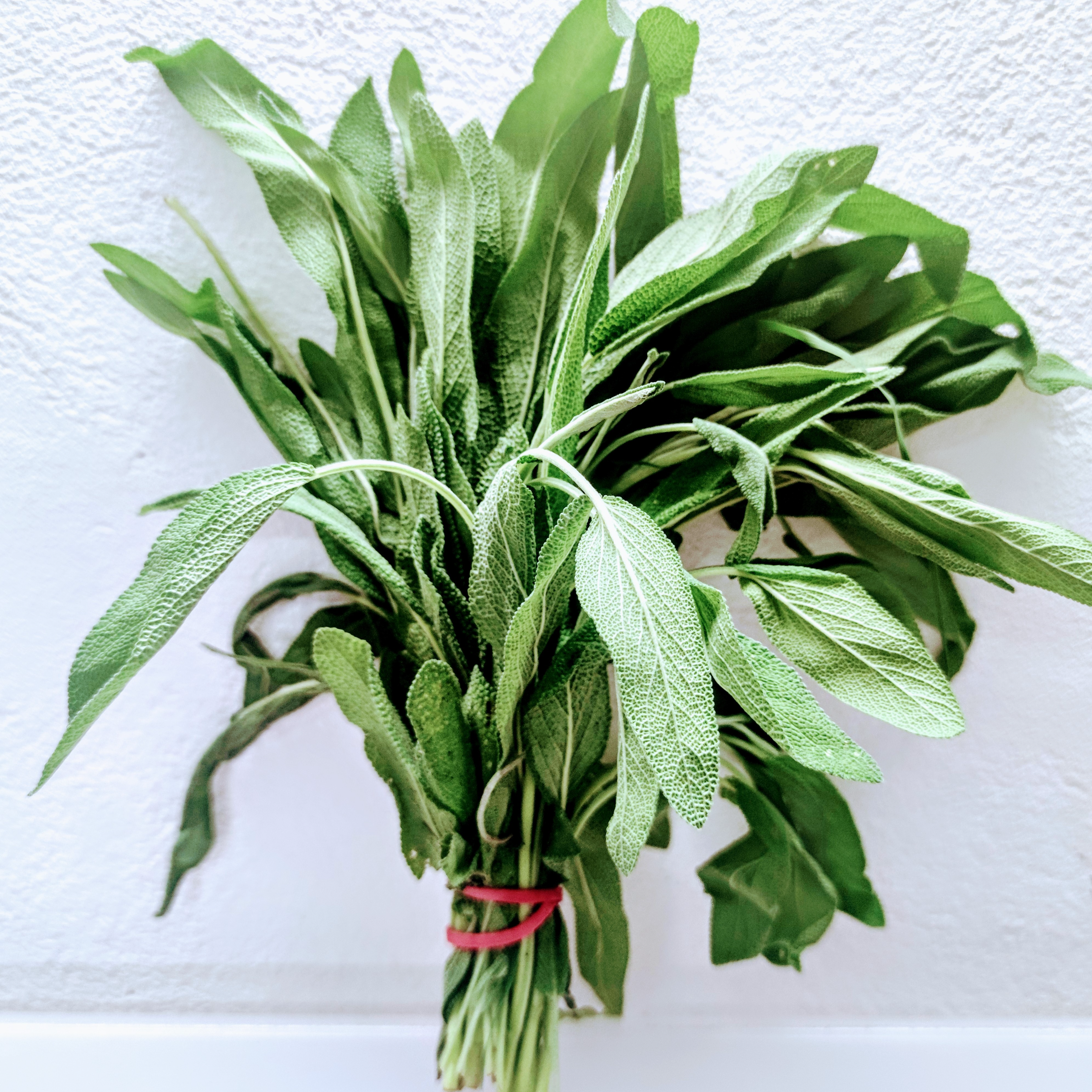 Sauge - Botte - 50g