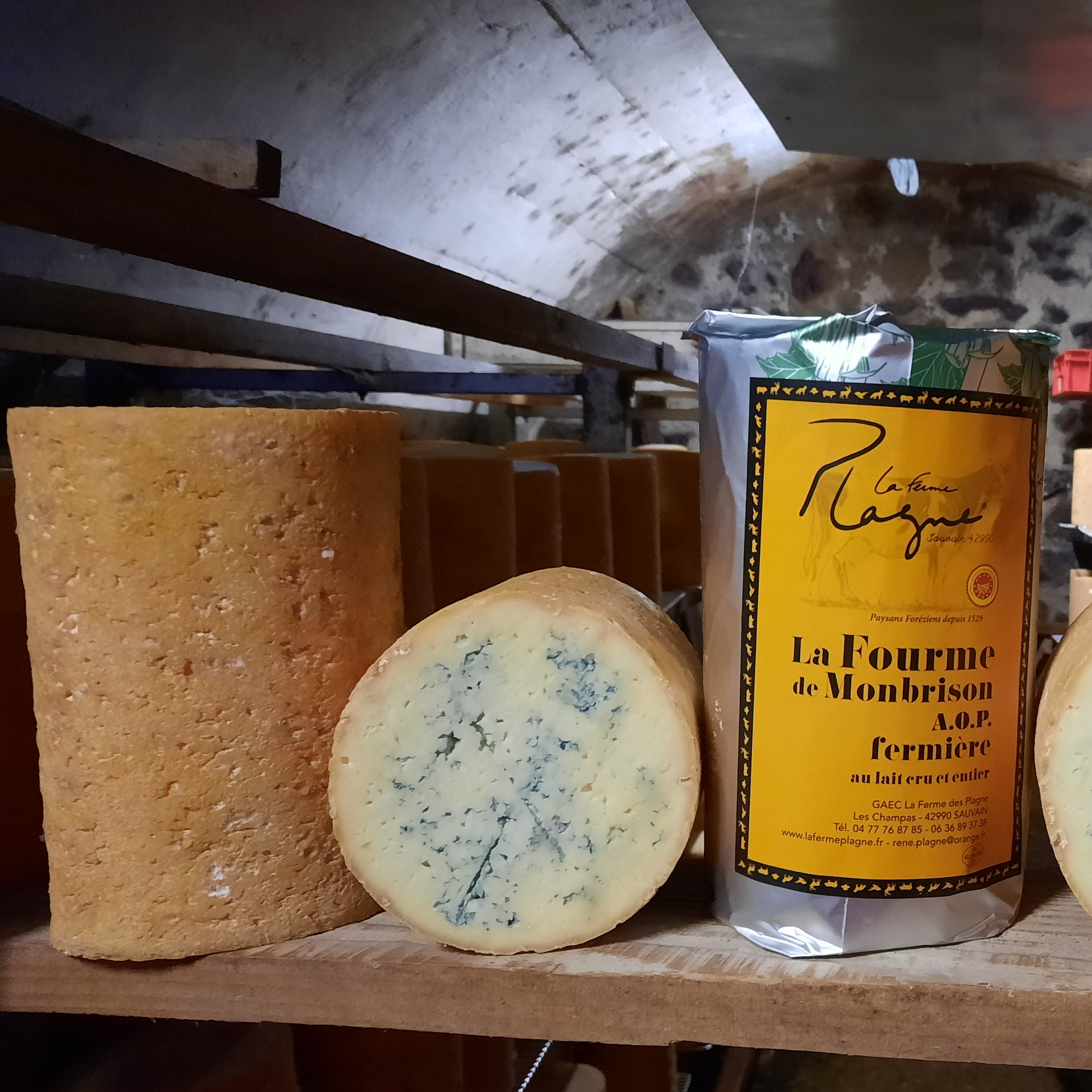 FOURME DE MONTBRISON AOP FERMIÈRE ENTIÈRE