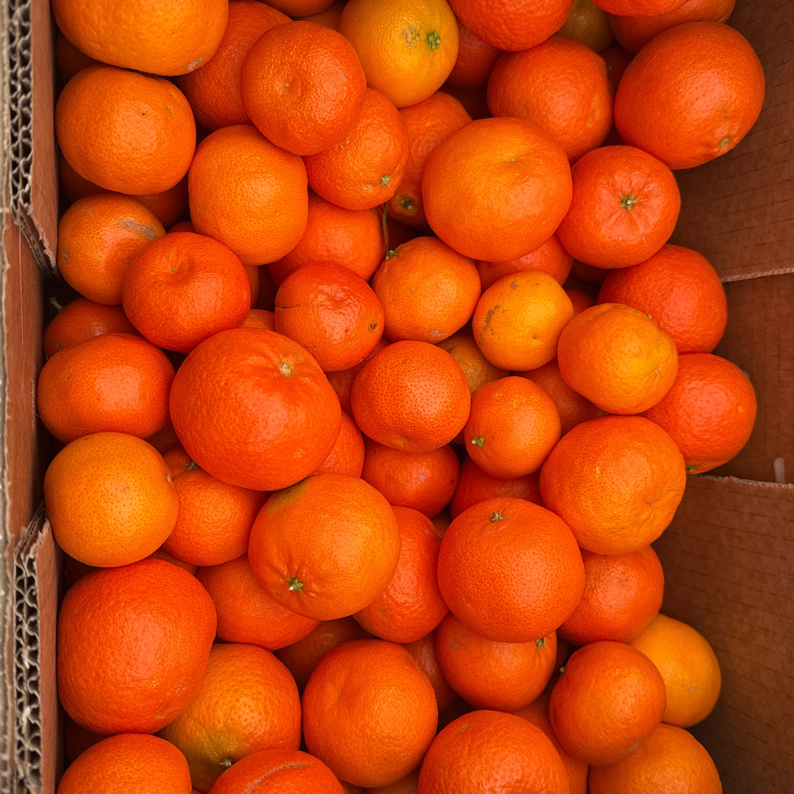 Clémentine Bio caisse 10 Kg - 10kg