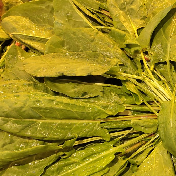 Oseille verte - 300g
