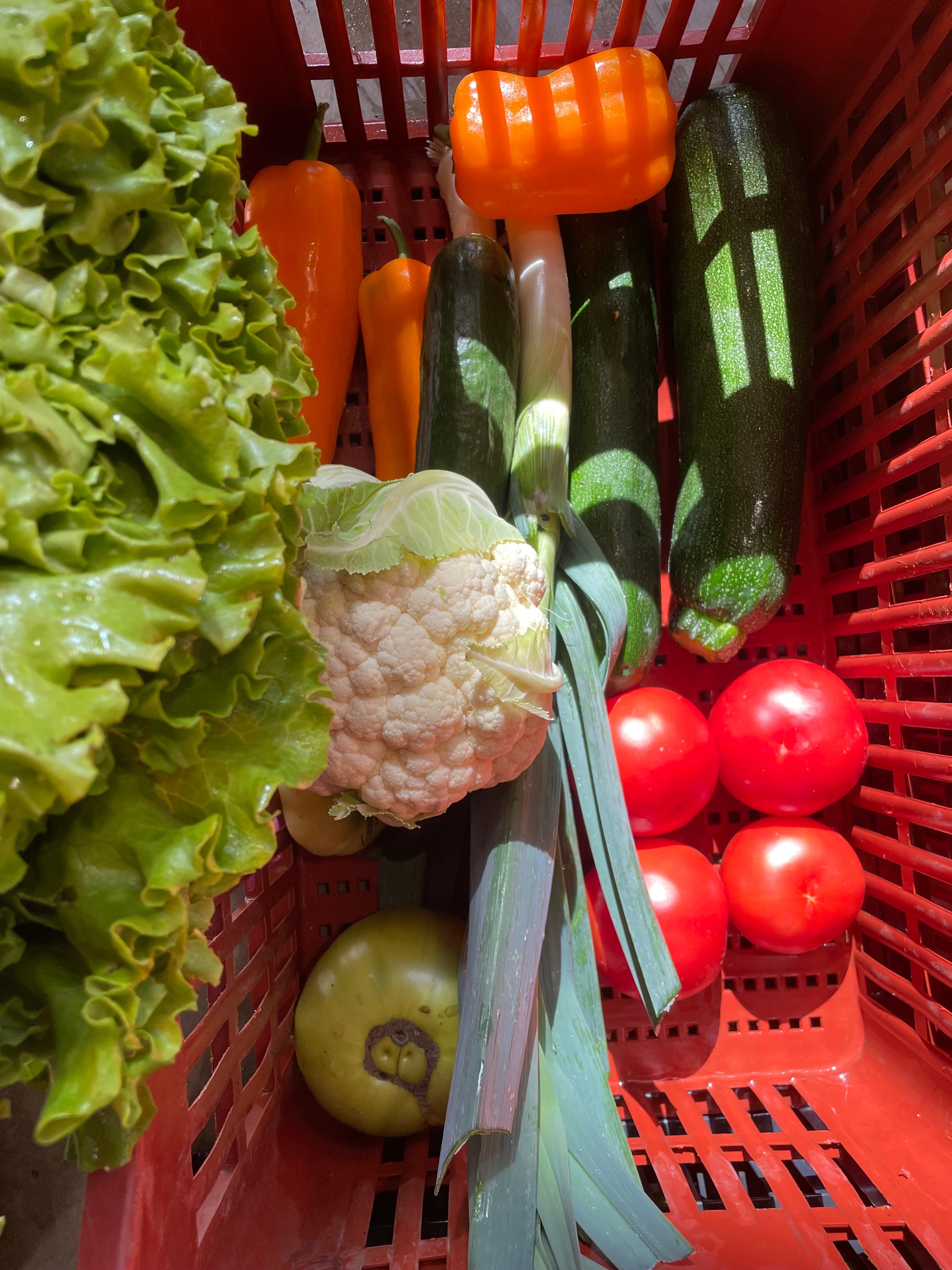 Panier de légumes de saison - M
