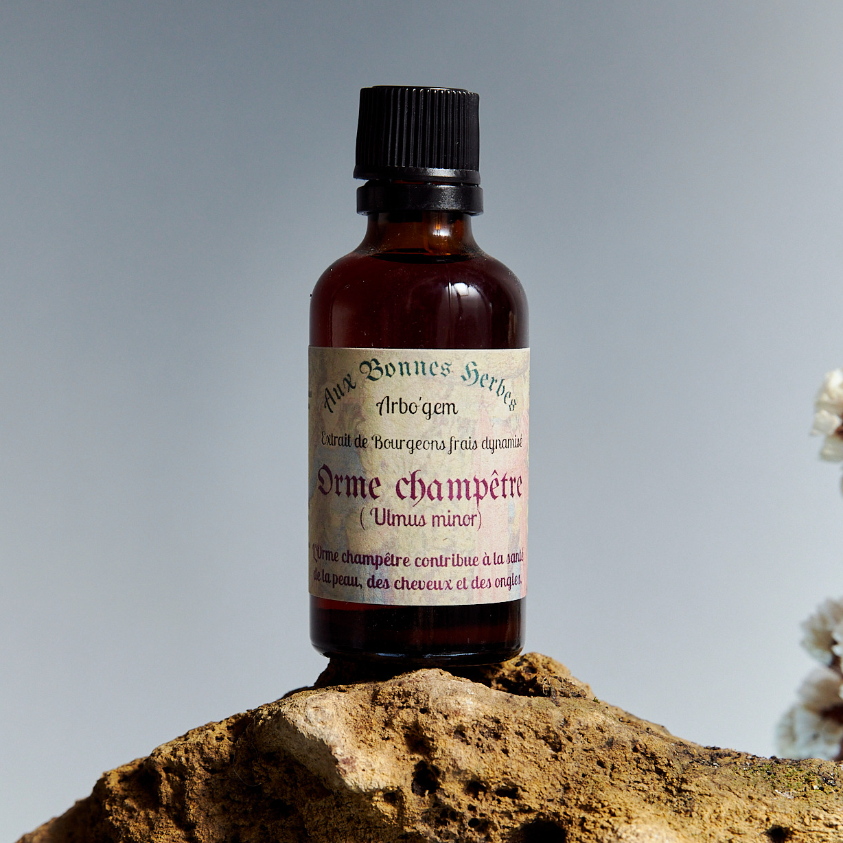 Orme champêtre - 50ml