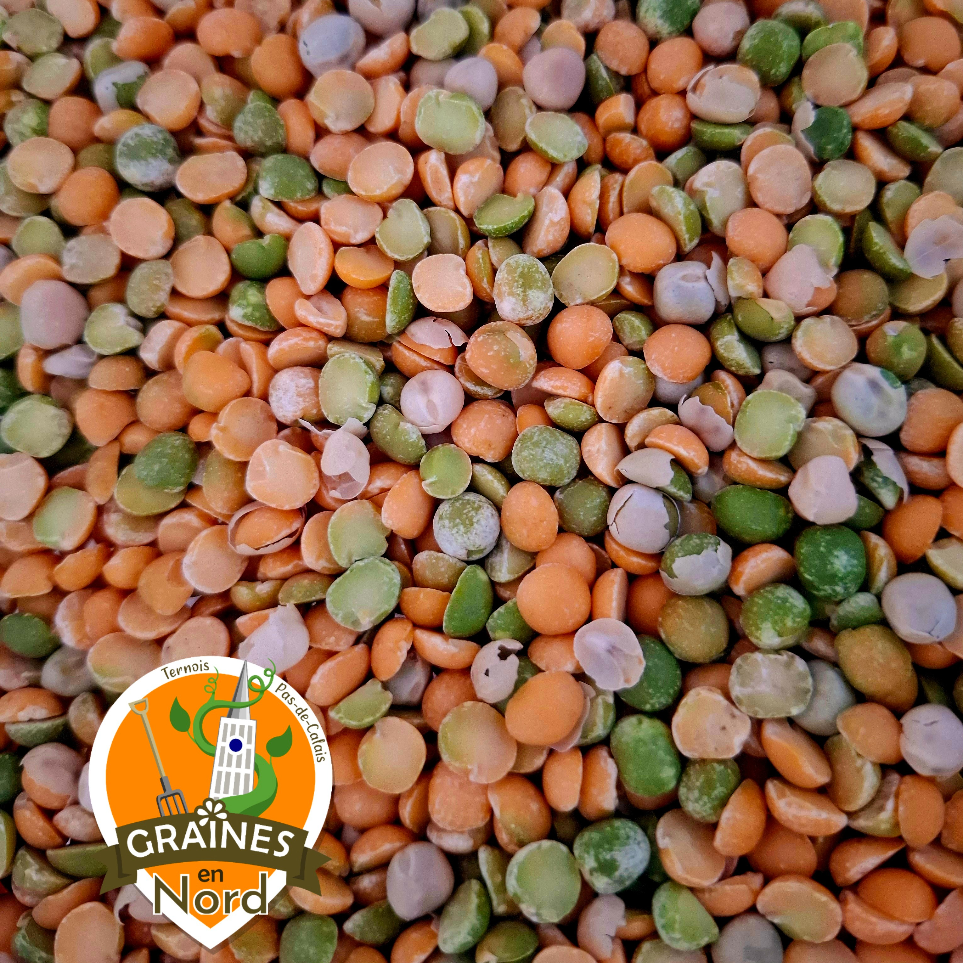 Pois Cassés VRAC de 5 à 24 kg