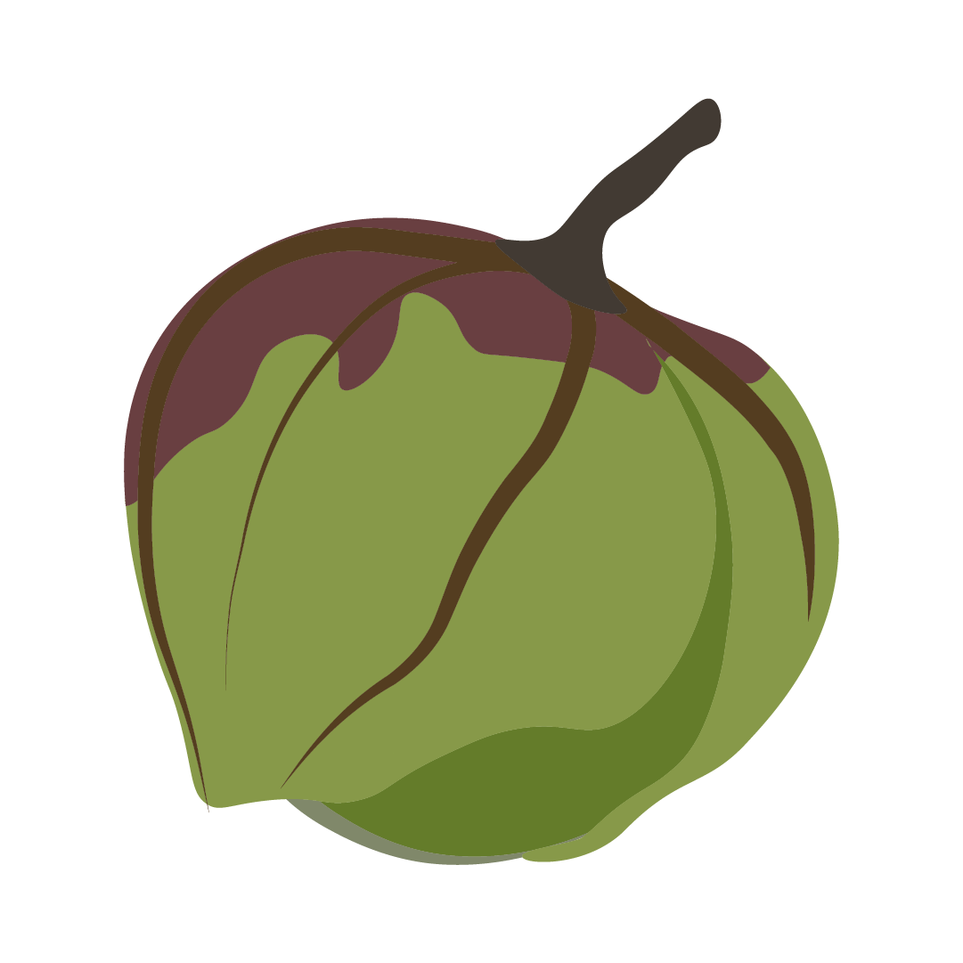 Tomatillos