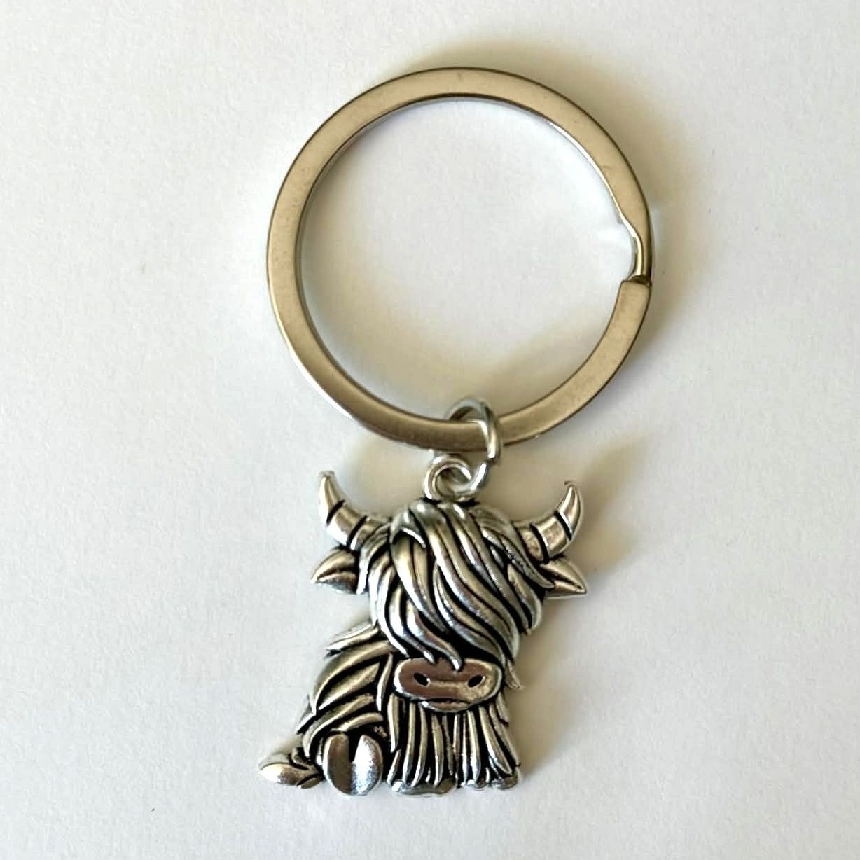 Porte-clés argent