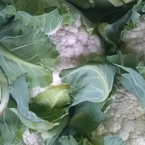 chou-fleur (sous réserve) - 500g