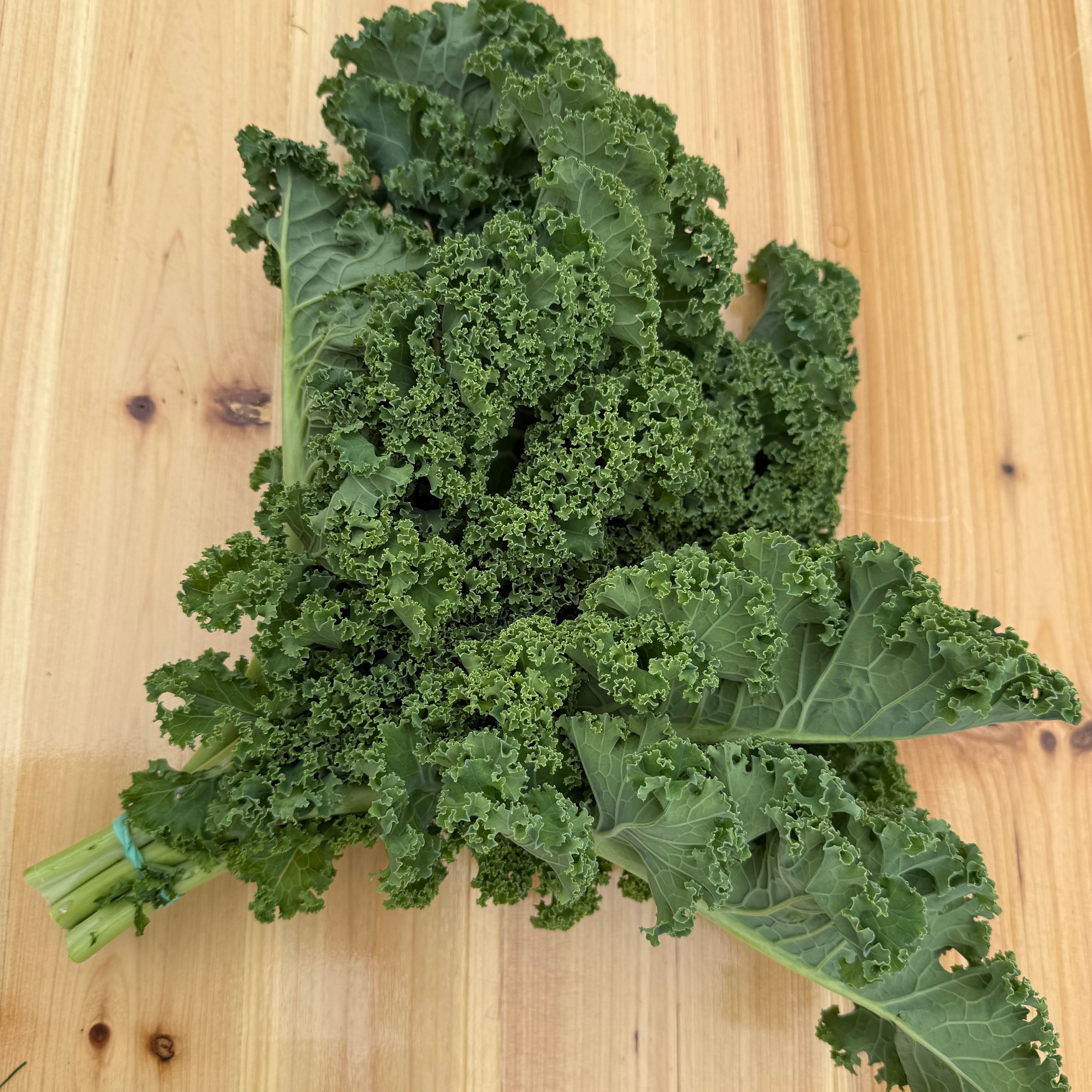 Chou Kale Frisé Vert