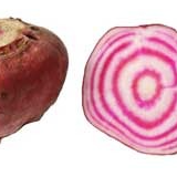 Betteraves chioggia - KG