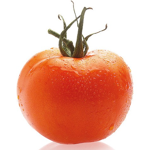 Plant Tomate Carotina - 300g