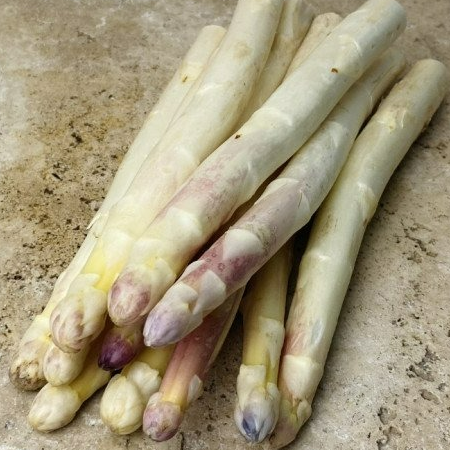 Asperge blanche bio