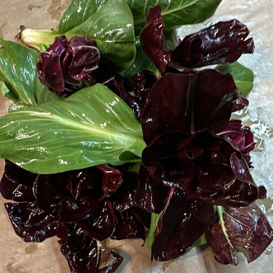 Salade Chicorée rouge 0,5kg - 0,5kg