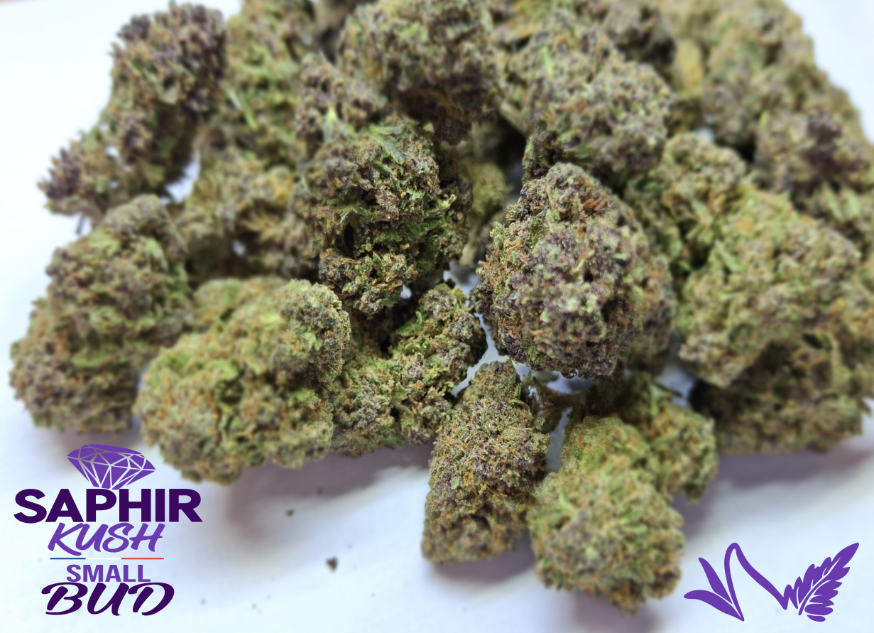 SMALL BUD SAPHIR KUSH CBD