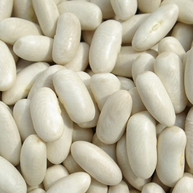 Haricot Blanc Sec - 0,1kg