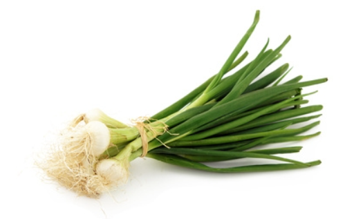 Oignon frais - La botte