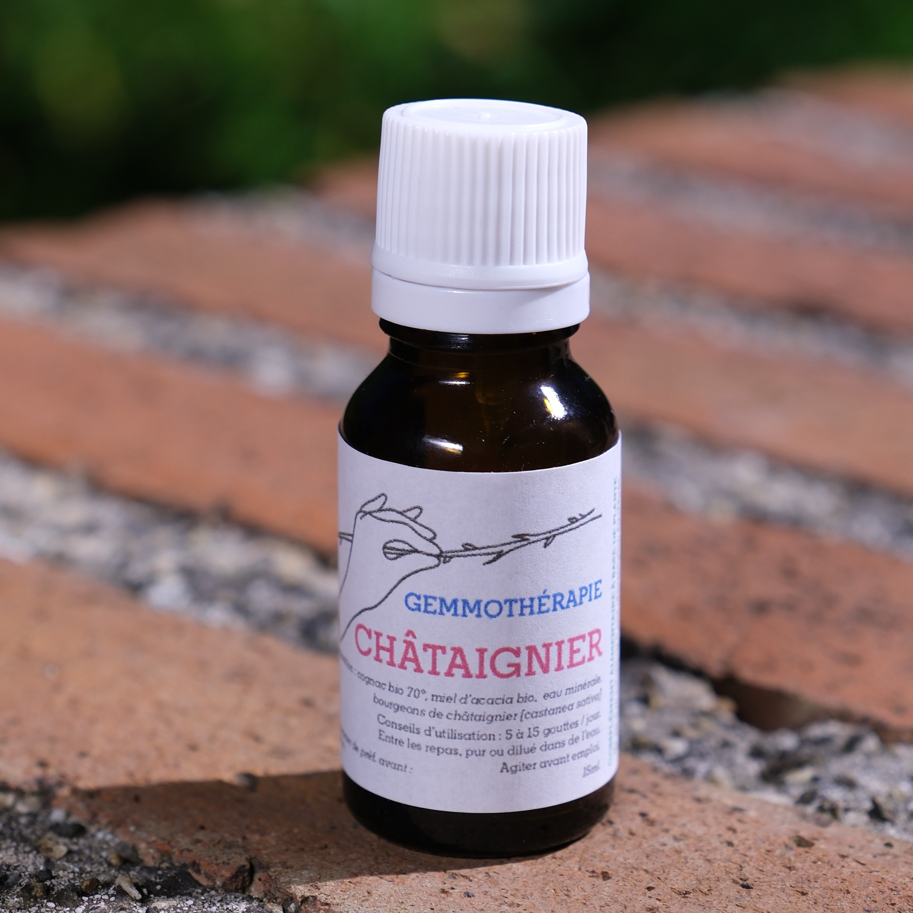 Châtaignier • Circulation & Rétention - 15ml