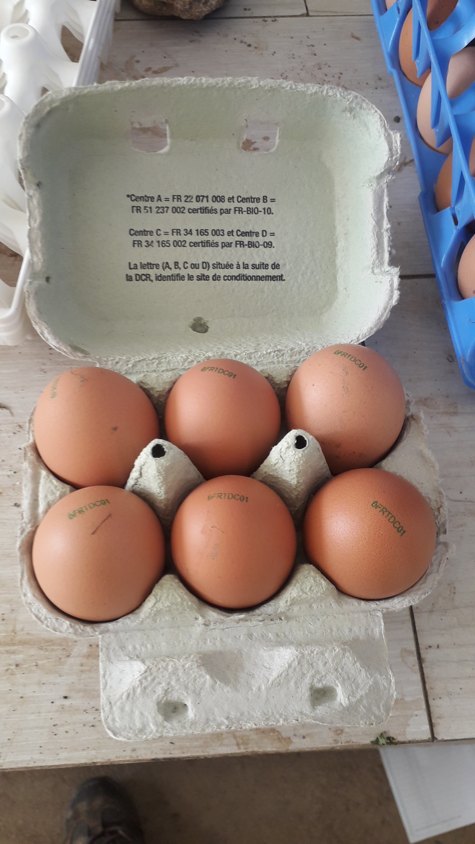 Oeufs (6)
