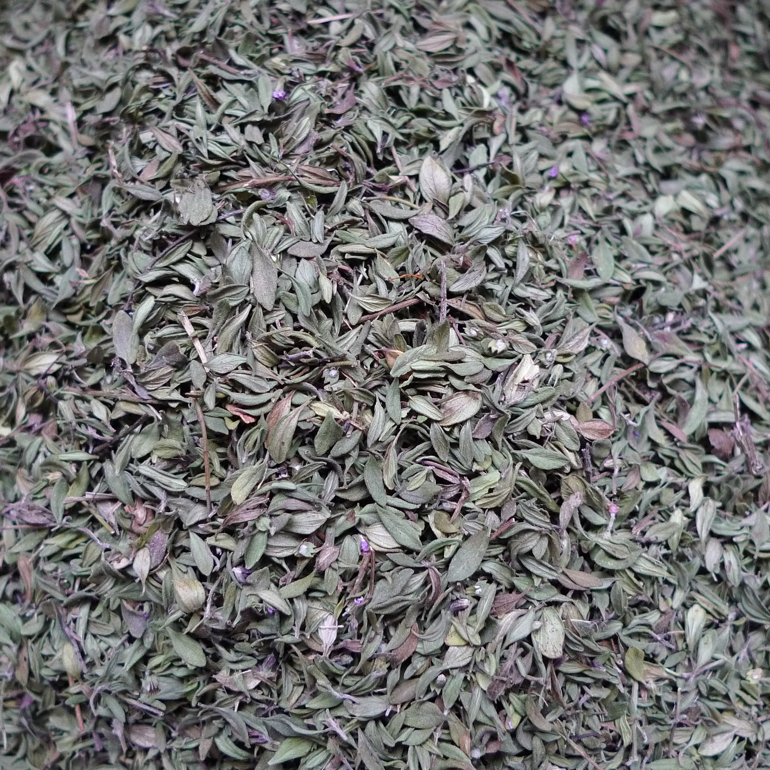 Thym serpolet - 40g