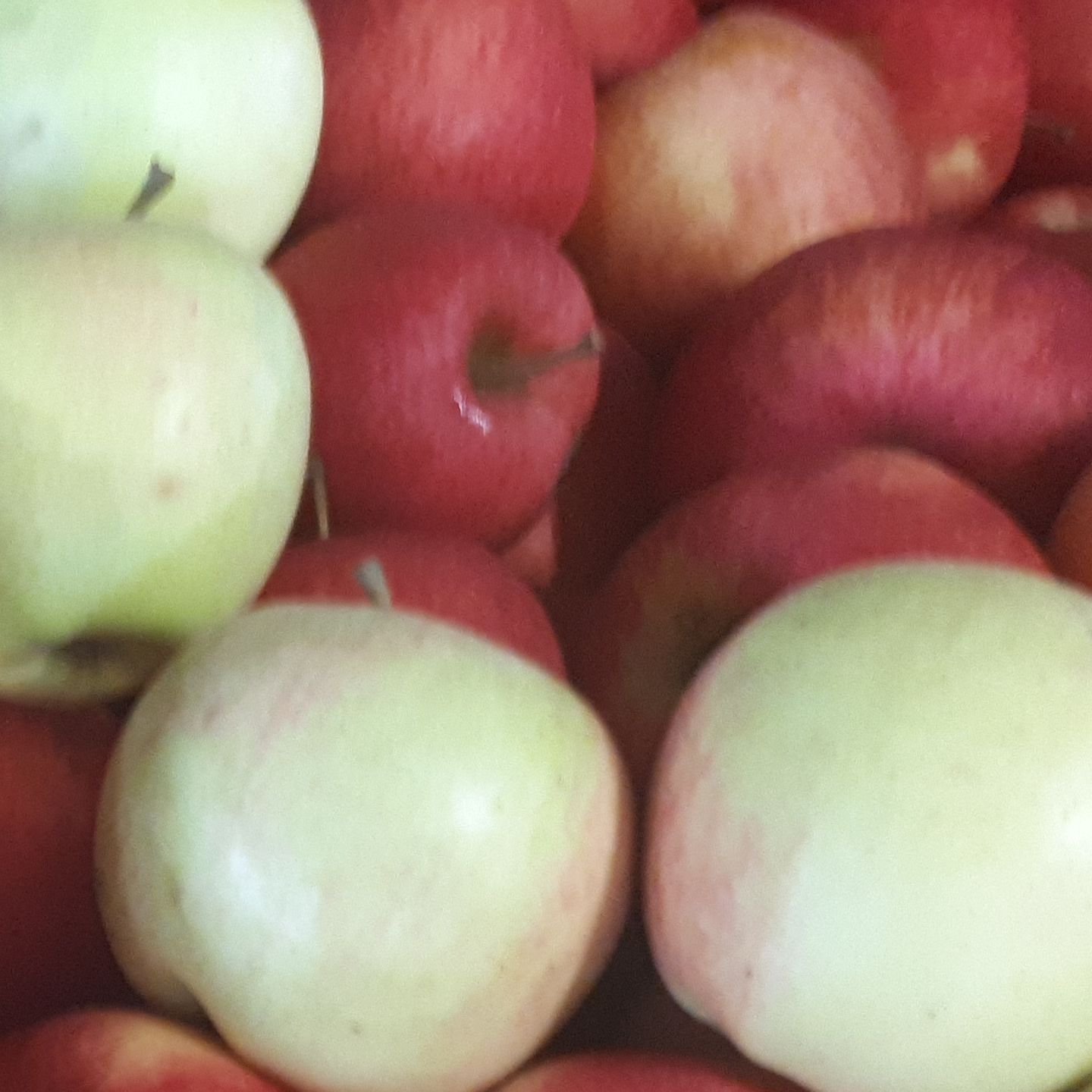 Mélange de pommes 2kg