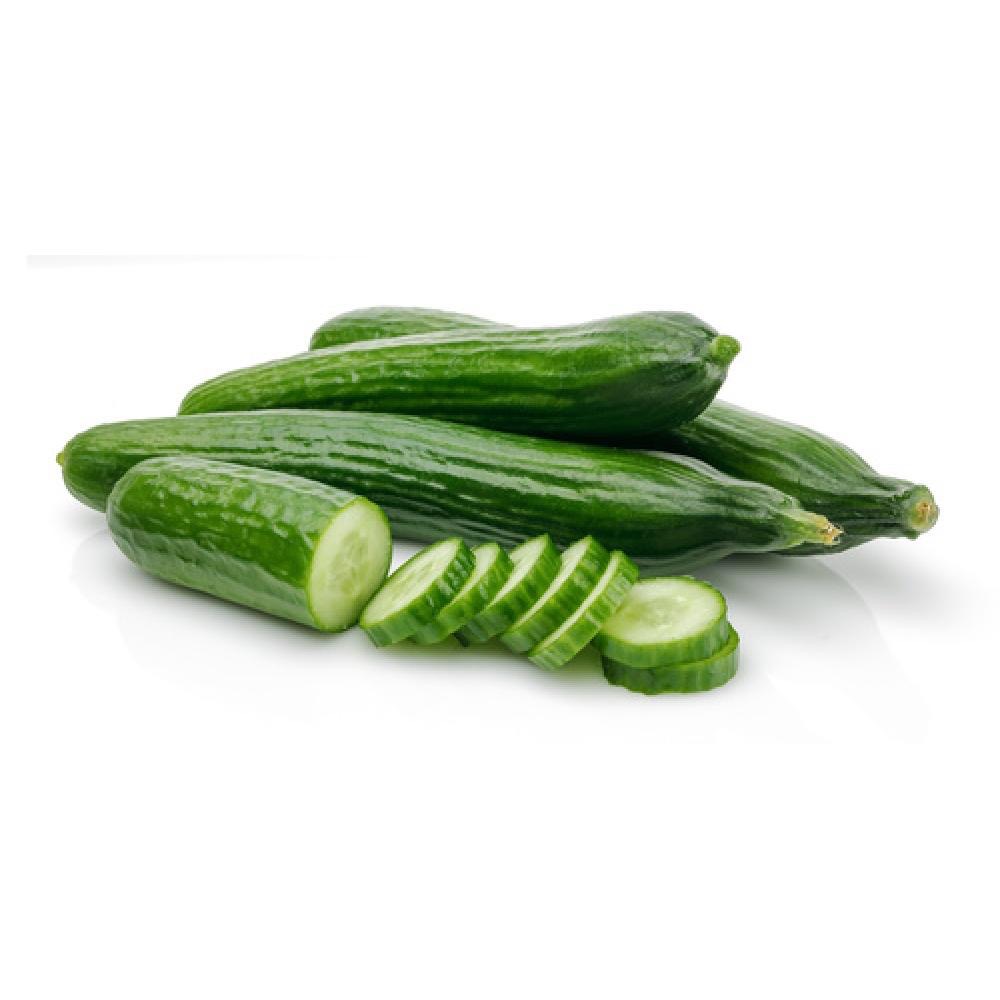 Concombre long lisse