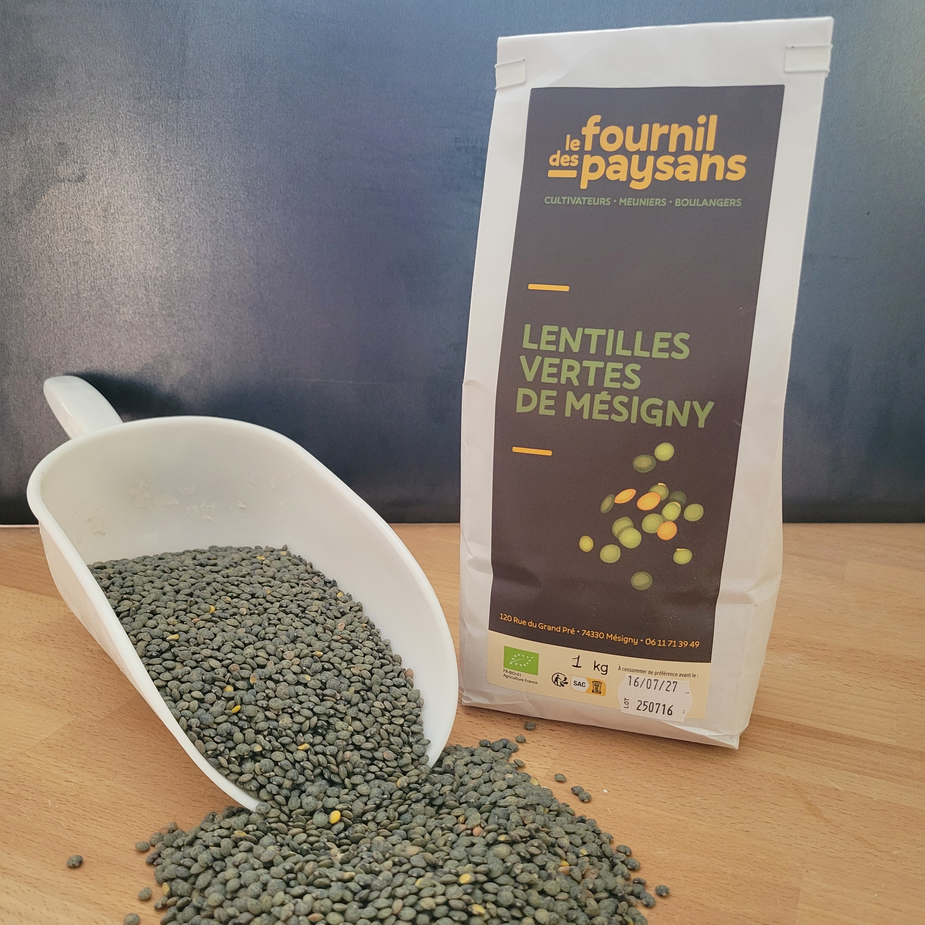 Lentilles vertes en graines