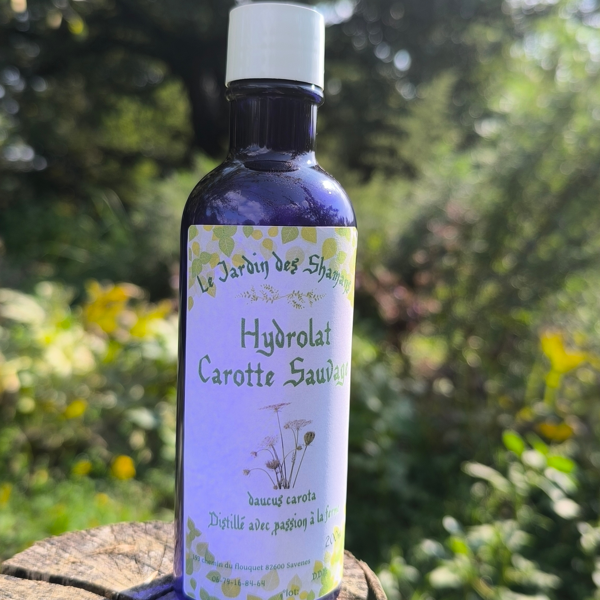 Hydrolat Carotte sauvage "daucus carota" - 200ml