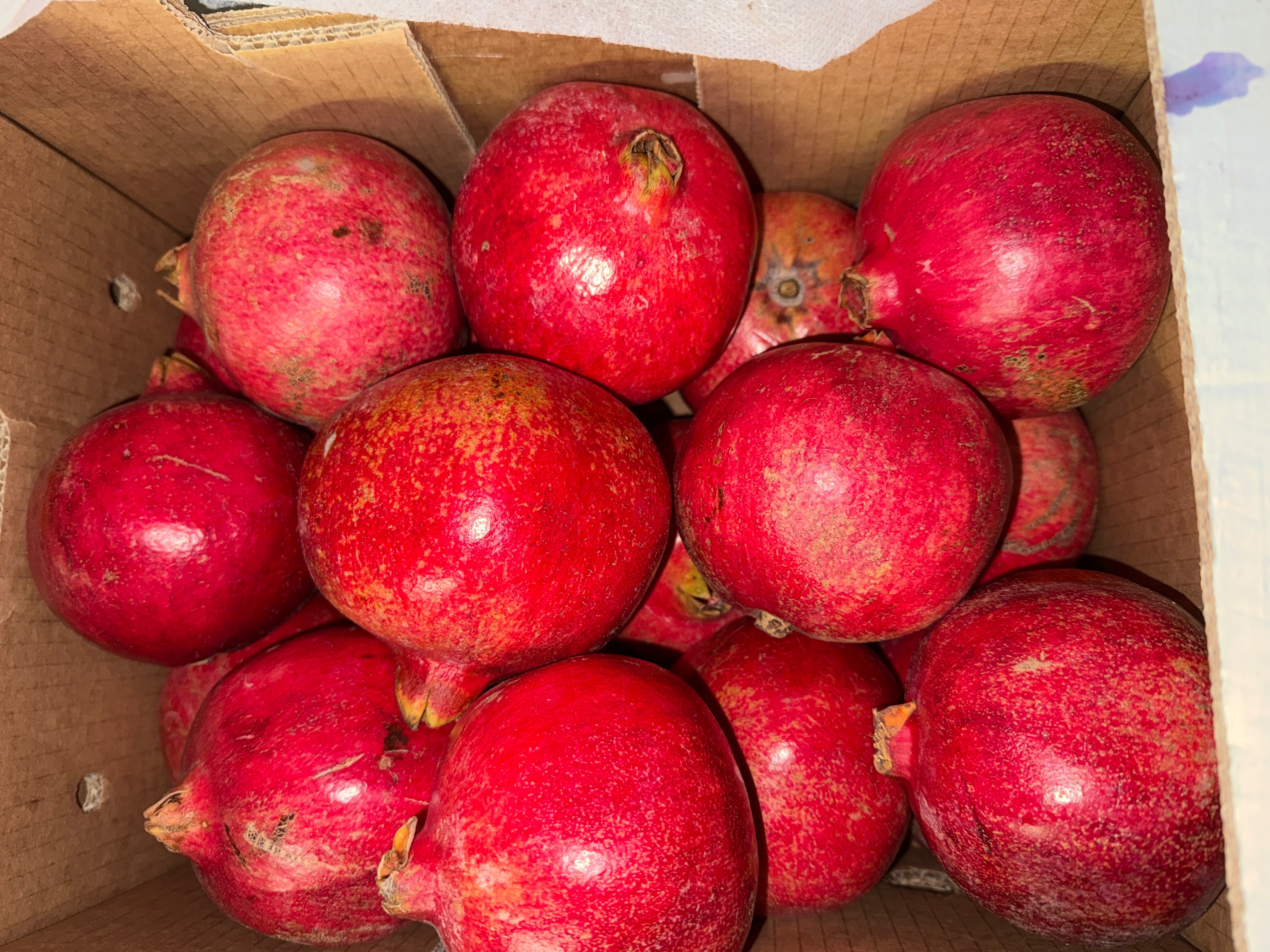 Grenade Wonderfull Bio - 6kg