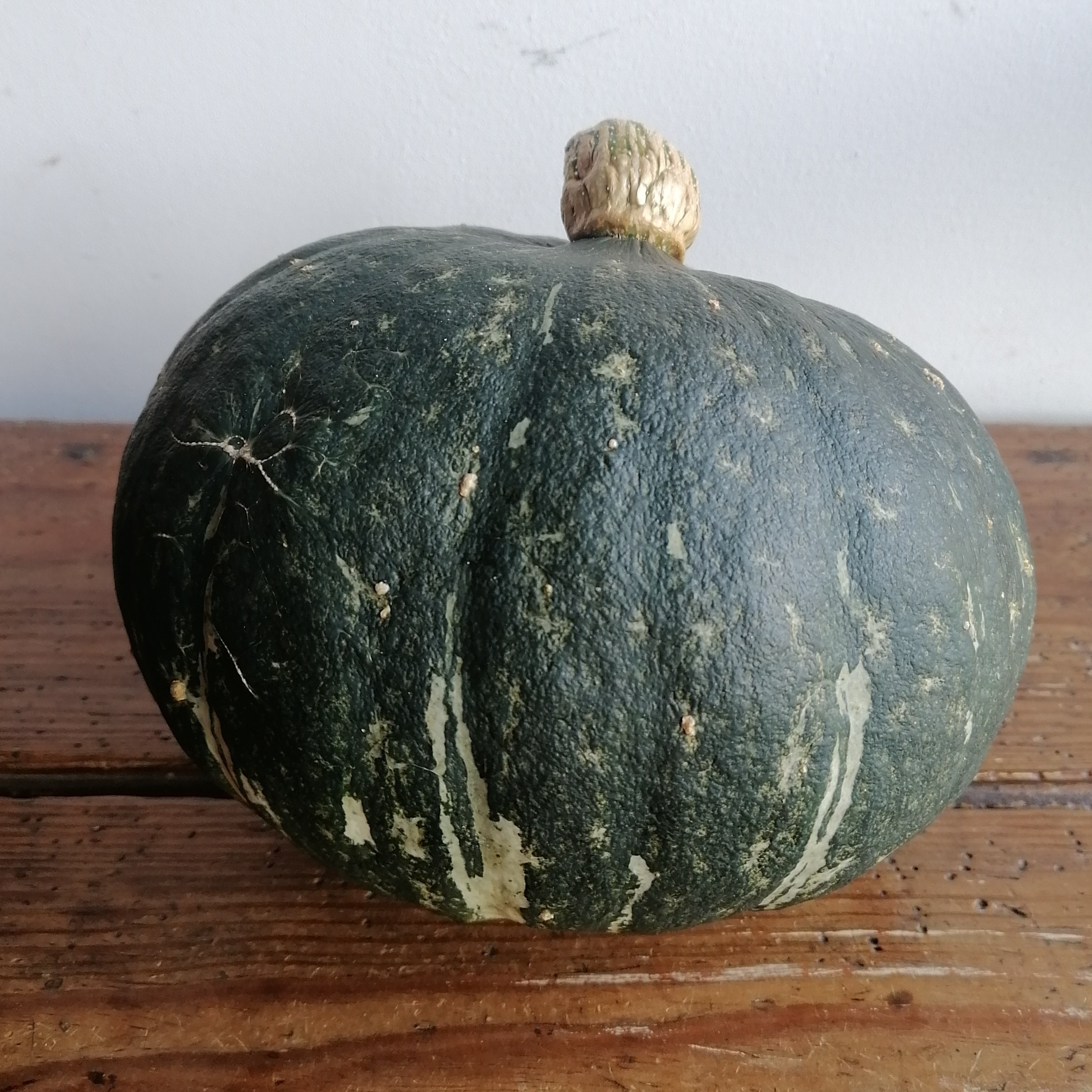 Green hokkaido - 1,2kg