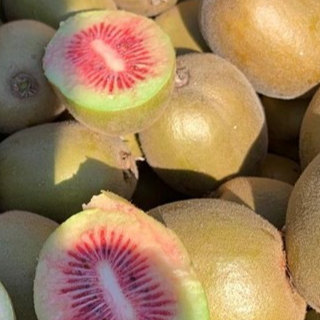 Kiwi rouge - 150g