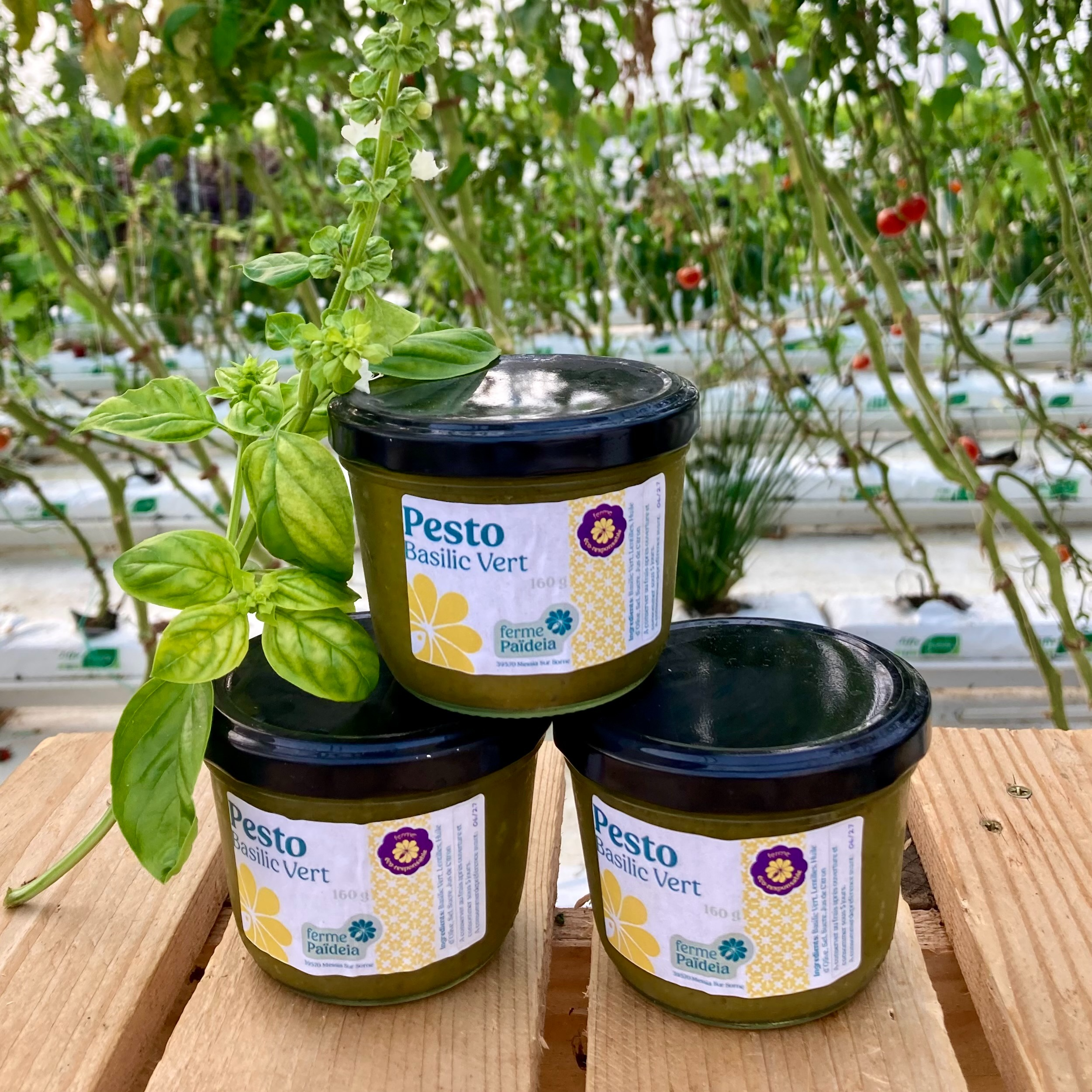 Pesto Basilic / Noisette