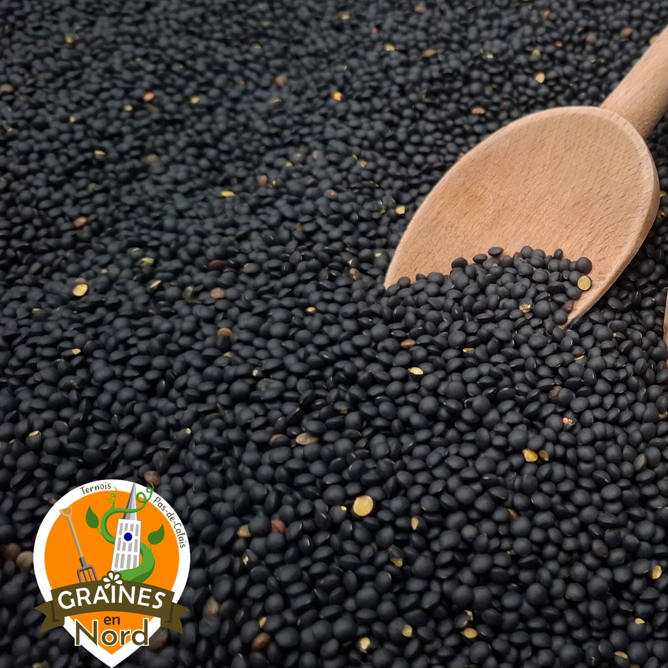 Lentilles Noires Beluga VRAC de 5 à 24 kg